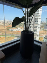 עציץ