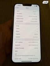 iPhone 13 Pro Max Silver