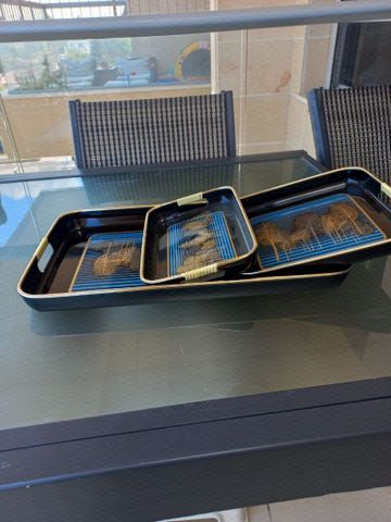 סט מגשים