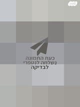 סופטבוקס 60X60 ס"מ