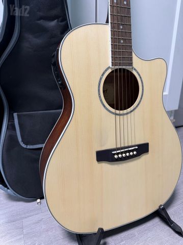 Acoustic Guitar (Cort)