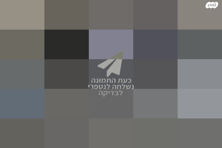 אורגן