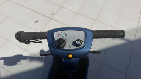 קלנועית בראשית