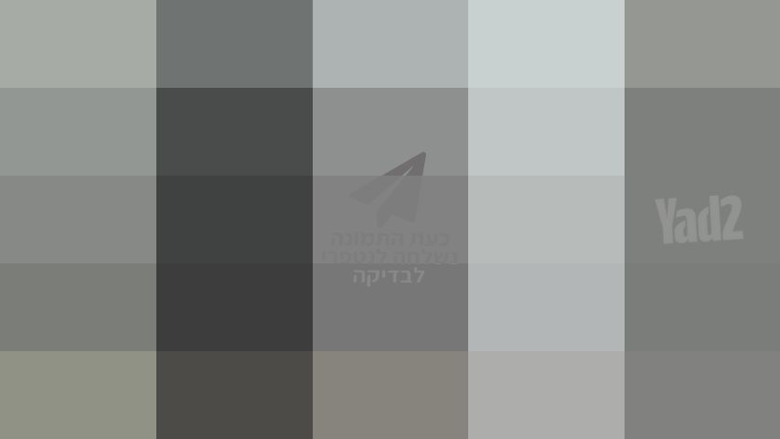 בוקסה מקצועית