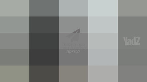 בוקסה מקצועית