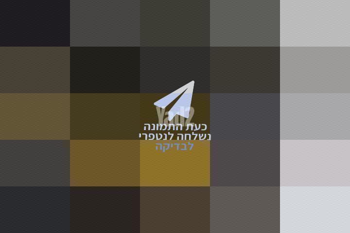 dji Goggles 2 גוגלס 2 לfpv
