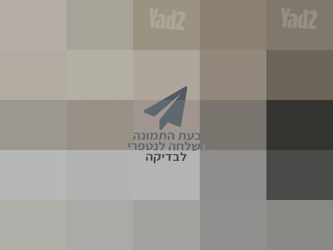 שואב שוטף ROBOROCK F25 RT