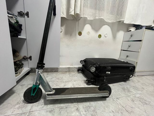 סקוט פעלולים