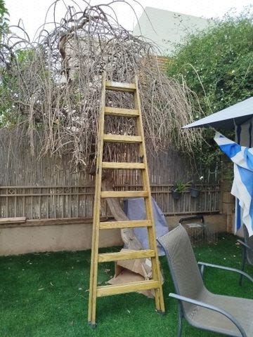 כלי עבודה