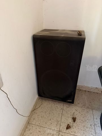 פטיפון