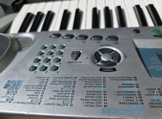 אורגנית Medeli MC-49