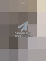 אופנים חשמליות