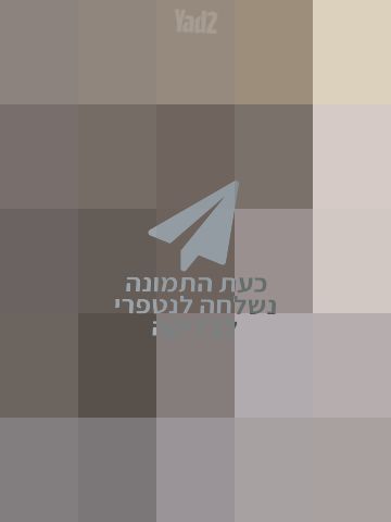 אופנים חשמליות