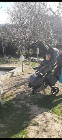 עגלת סטוקי