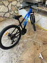 אופנייים