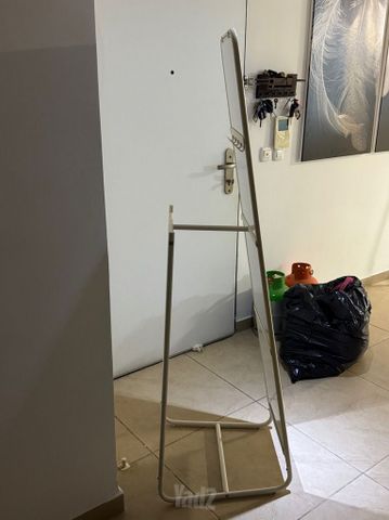 מראת גוף