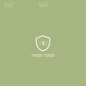 משקולות אימון