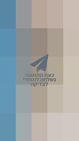 מזגן נייד 2 כ"ס