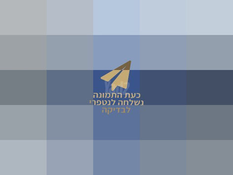 ספיידרמן לPS4