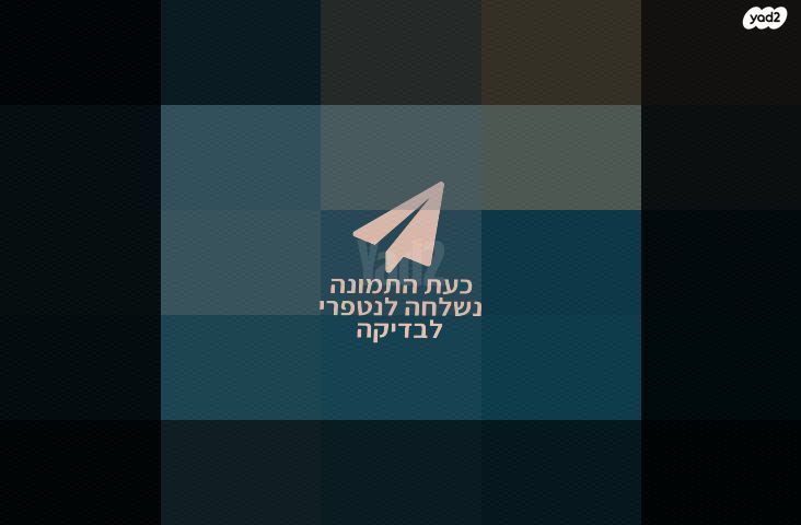 פלאגינים Plugins