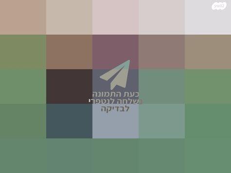 עגלת סילבר קרוס
