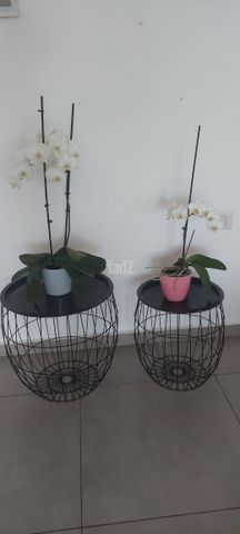 שולחנות צד