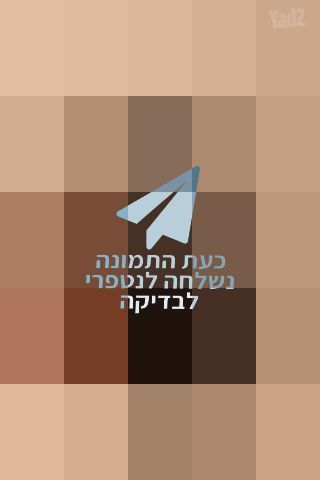 גיטרה