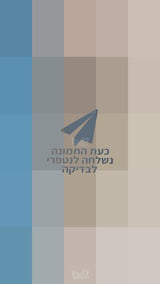 מזגן נייד 2 כ"ס