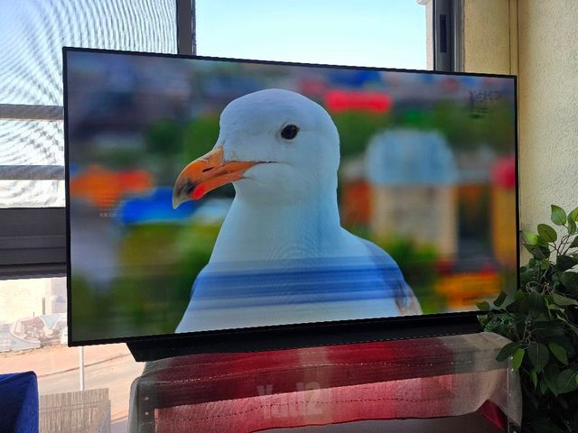 טלויזיה lg oled  55c1