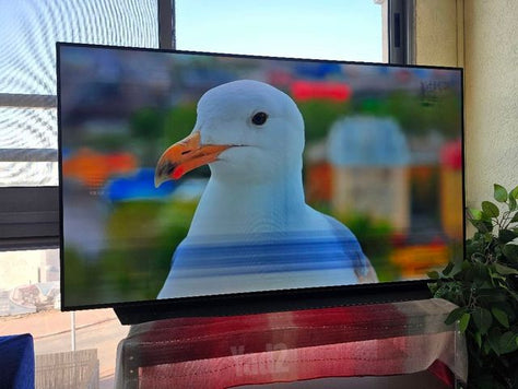 טלויזיה lg oled  55c1