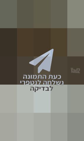 שטיח פרסי עתיק יפיפה