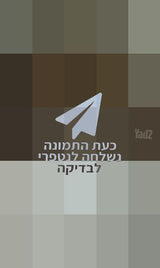 שטיח פרסי עתיק יפיפה