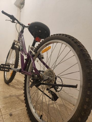 אופנים 24'