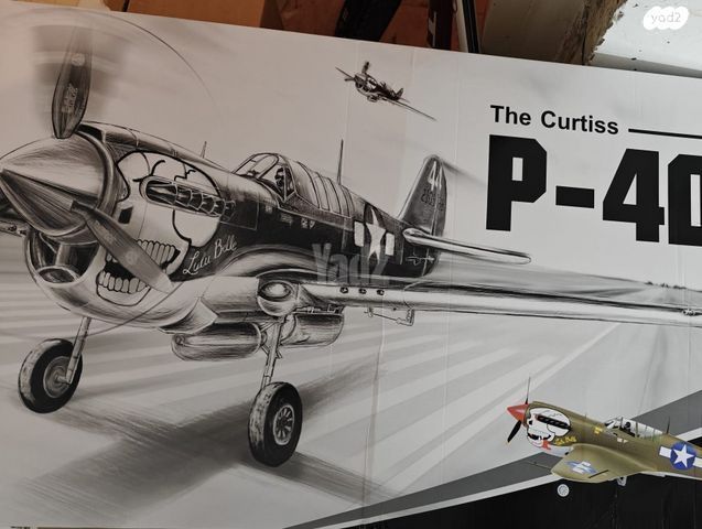טיסן Durafly Curtiss P40N  PNF