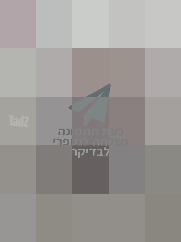 מיטת גלריה