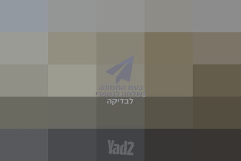 ספה דו מושבית