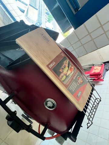 מנגל weber על גז