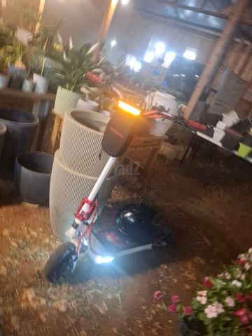 אינוקים אוקס