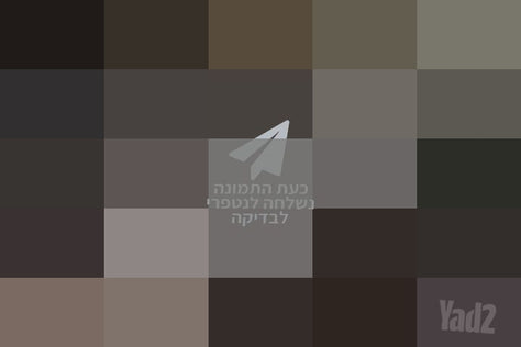 ריהוט גן