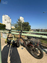אינוקים אוקס 2026