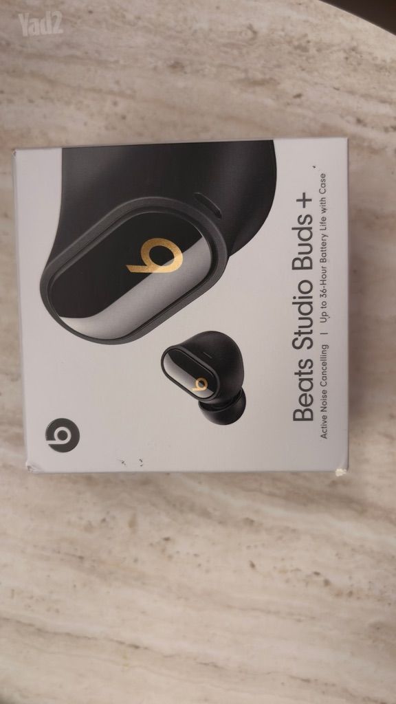 Beats studio pro earbuds