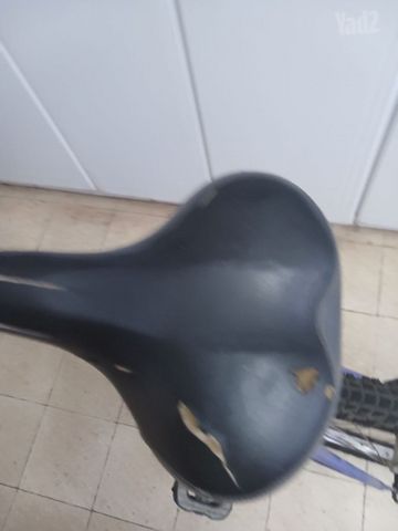 אופניים נשים