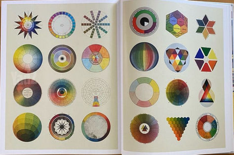 The Anatomy of Colour