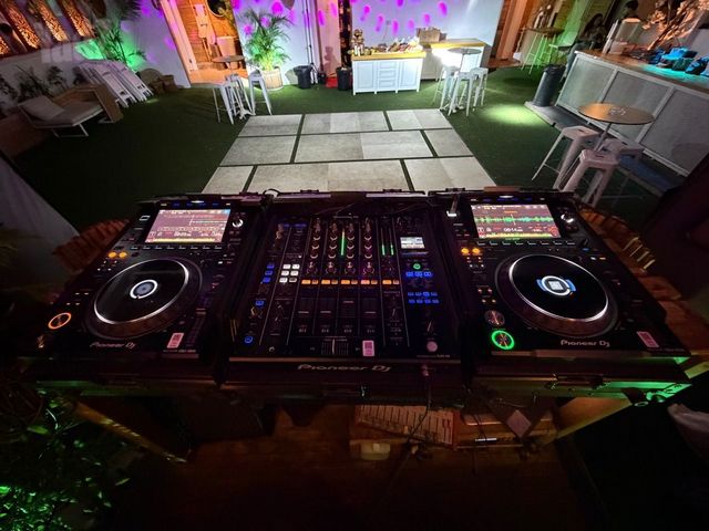 Pioneer 3000