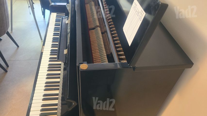פסנתר apollo