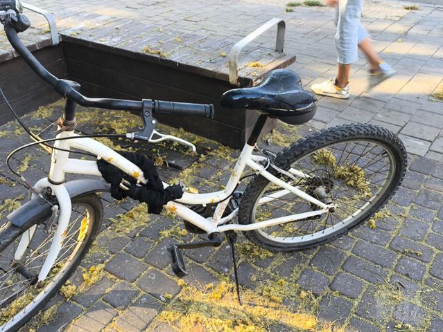 אופניים