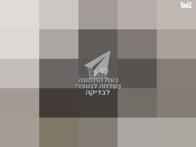 סלקל joie
