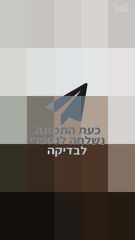 פאה קצרה