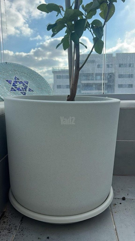 עציצים