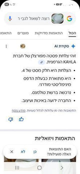 צלחות פסטה